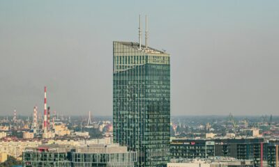 olivia garfield portrait