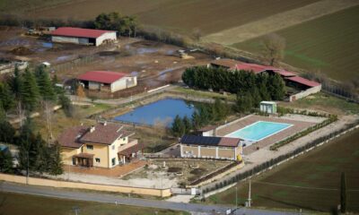 pigeimmo property analysis