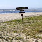 Portuguese language grammar